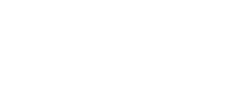 Volunteer Services Logo